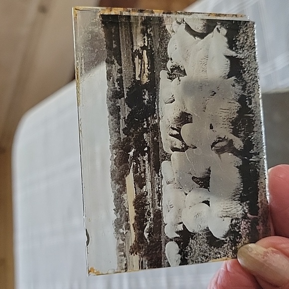 6 Vintage Photo Glass Slides Lantern Slides - Picture 1 of 7